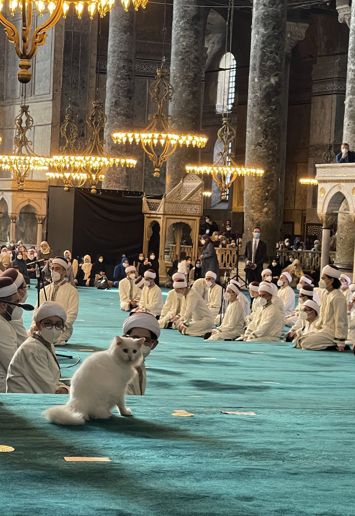 Beyazın Fotoğrafı