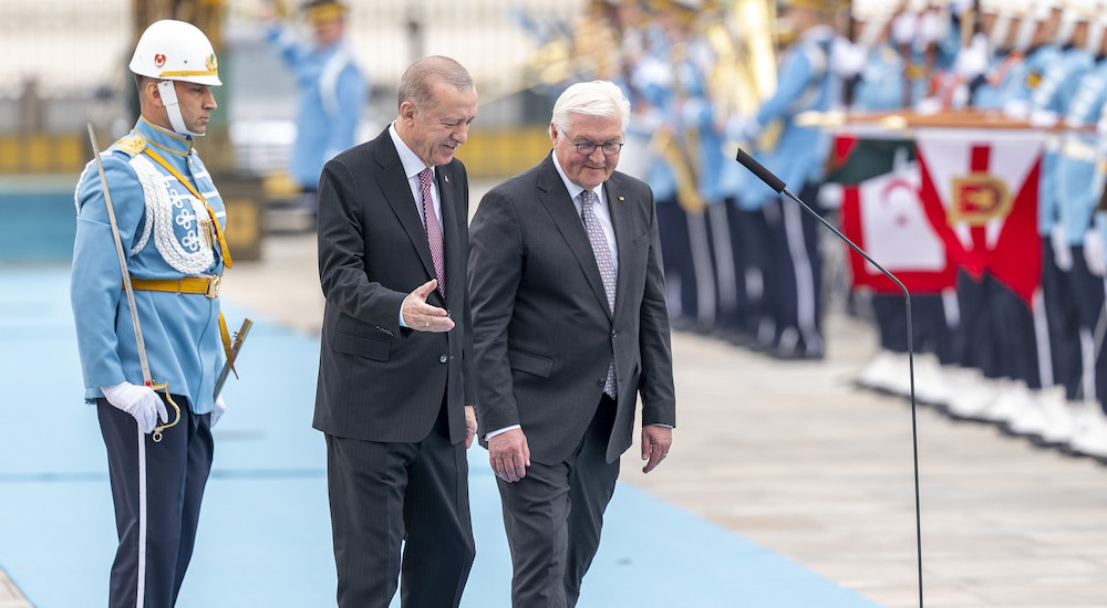 Erdoğan ve Steinmeier