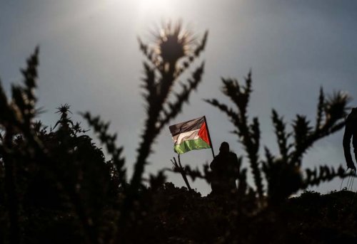 Prangaya Vurulmuş Araplarla Filistin Özgürleşemez