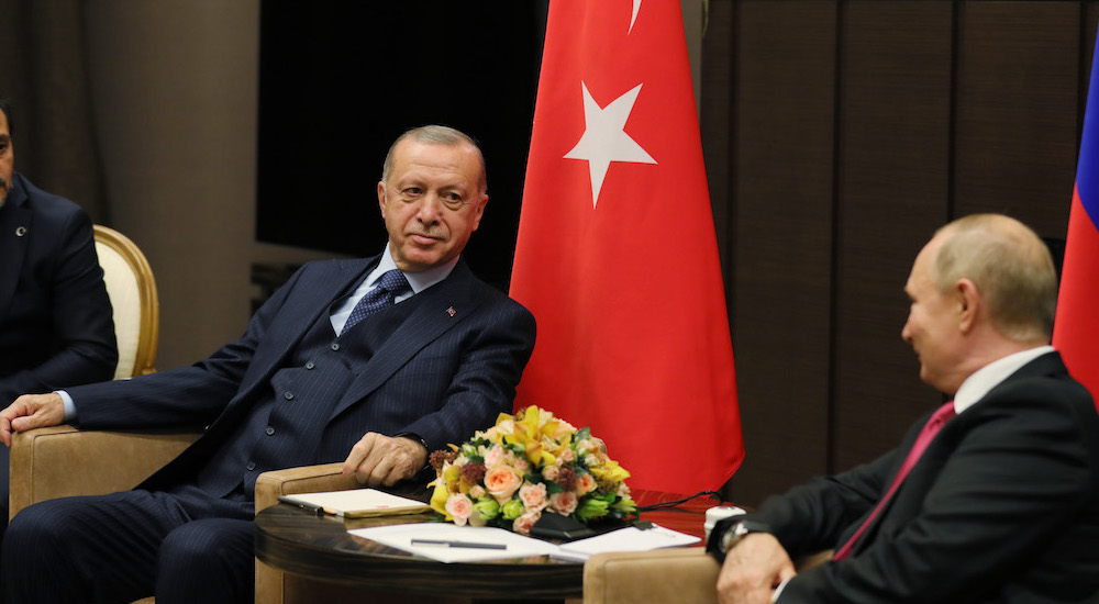 Başkan Erdoğan ve Rusya Devlet Başkanı Putin