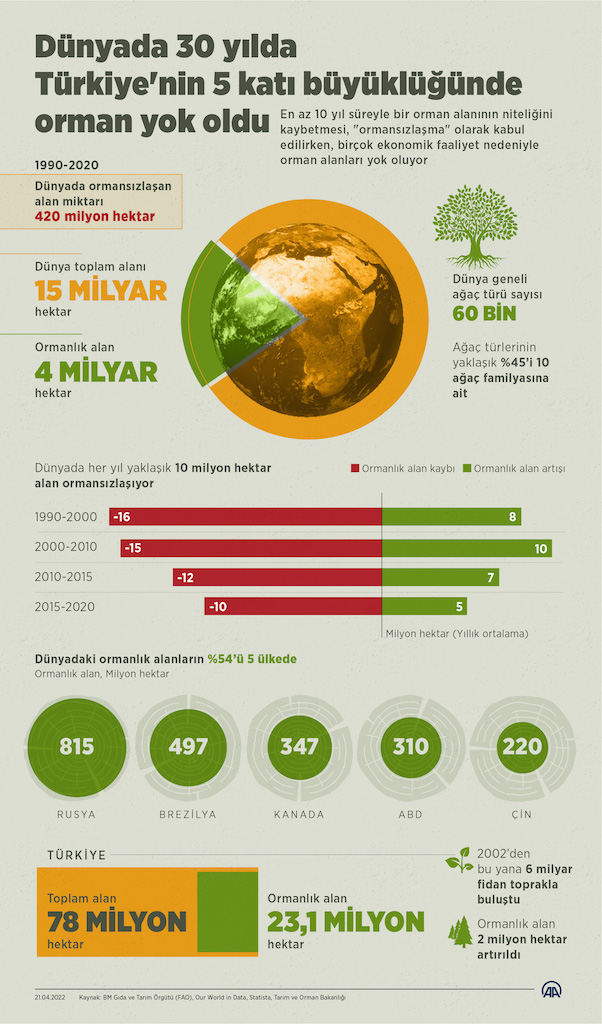 Dünyada 30 yılda Türkiye'nin 5 katı büyüklüğünde orman yok oldu, İNFO