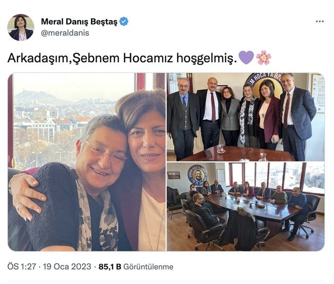 TTB Başkanı Şebnem Korur Fincancı, HDP'li Meral Danış Beştaş ve HDP'liler