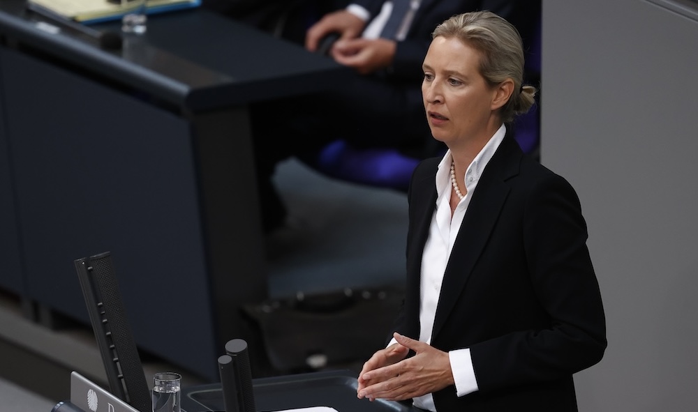 Almanya için Alternatif Partisi (AFD) eş başkanı Alice Weidel