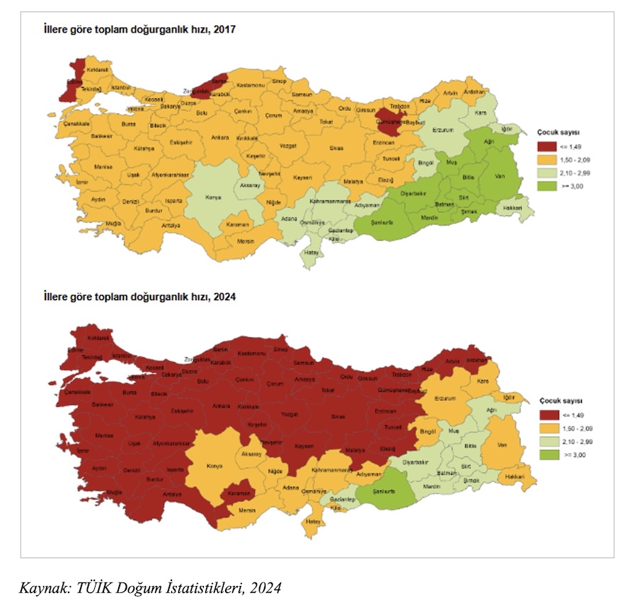 TÜİK Doğum İstatistikleri 2, 2024 TÜİK Doğum İstatistikleri 2, 2024