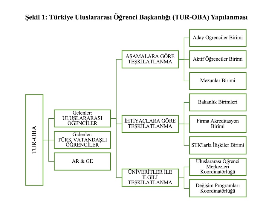 Şekil 1: Türkiye Uluslararası Öğrenci Başkanlığı (TUR-OBA) Yapılanması