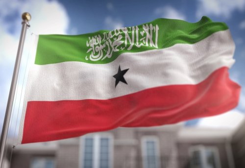 Kızıldeniz in Güney Kapısında Yeni Oyun Somaliland Tanımasının Stratejik Okuması