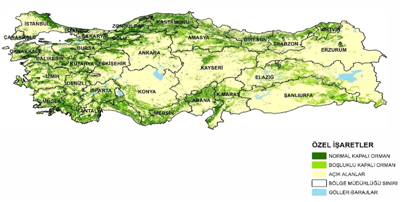 HARİTA 1: TÜRKİYE'NİN ORMAN VARLIĞI HARİTASI (2020)