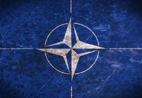 Fetret Döneminde NATO