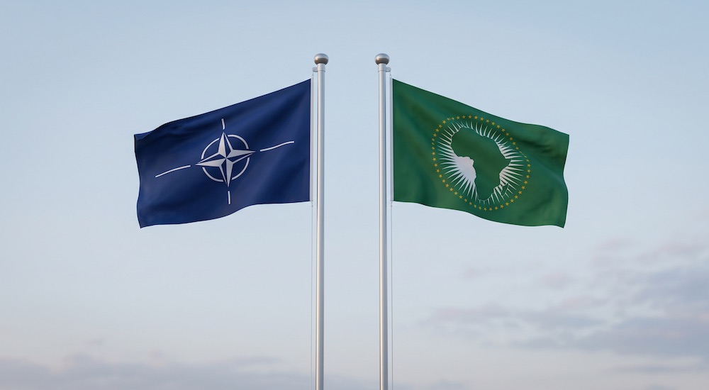 Ankara Zirvesi Sonrası NATO nun Güney Kanadı Afrika Boyutu Neden